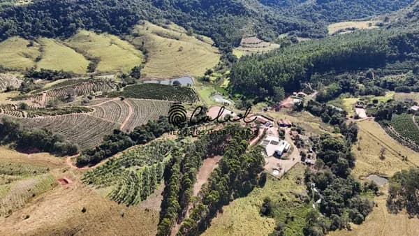 Fazenda com 188ha à venda PORTEIRA FECHADA por R$ 12.000.000,00 - Monte Santo de Minas/MG