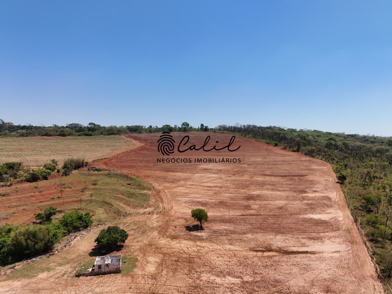 Sítio com 17 hectares sendo 10 para café à venda por R$ 1.500.000,00 - Altinópolis/SP