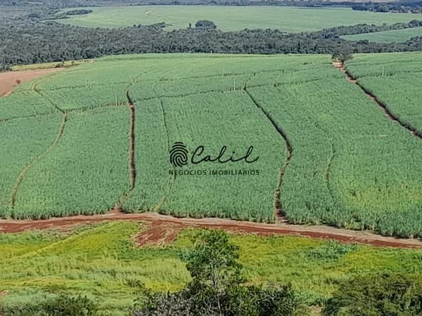 Sítio com 18,88 hectares arrendado para cana de açúcar à venda por R$ 1.800.000,00 - Altinópolis/SP
