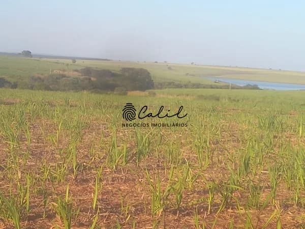 Fazenda com 464,64 hectares com cana já arrendada à venda por R$ 24.000.000,00 - Presidente Venceslau/SP