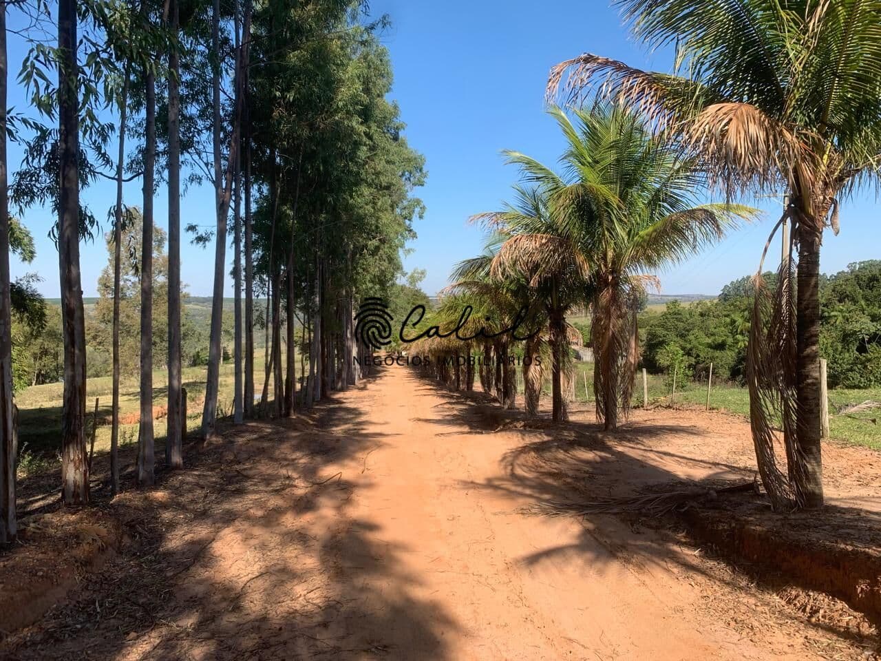 Fazenda com 234,74ha para Pecuária e Agricultura, já com 350.000 pés de café à venda por R$ 13.000.000,00 - Garça/SP