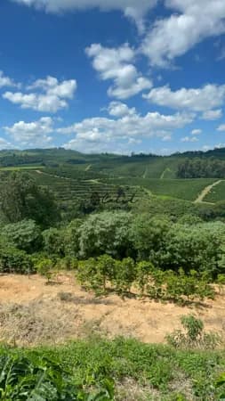 Fazenda em café com 595,32 hectares à venda por R$ 80.000.000,00 - Caconde/SP