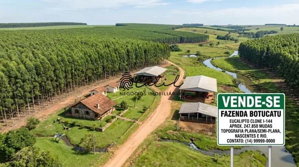 Fazenda com 239 hectares em eucalipto à venda por R$ 18.000.000,00 - Botucatu/SP