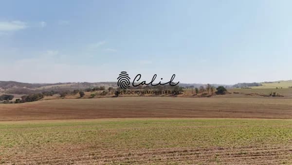 Fazenda com 77,44 hectares, cana própria e pasto à venda por R$ 13.000.000,00 - Brodowski/SP