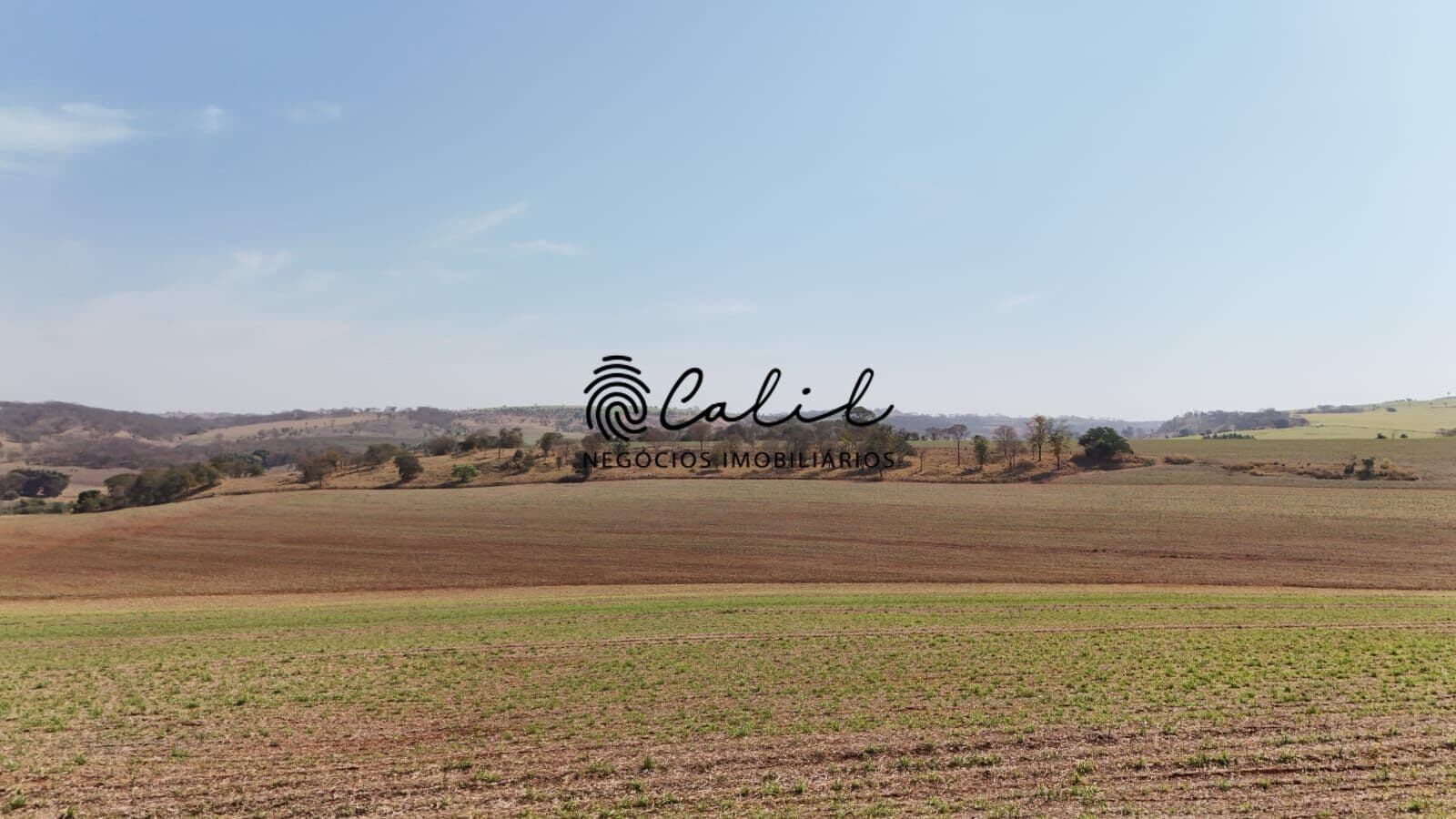 Fazenda com 77,44 hectares, cana própria e pasto à venda por R$ 13.000.000,00 - Brodowski/SP