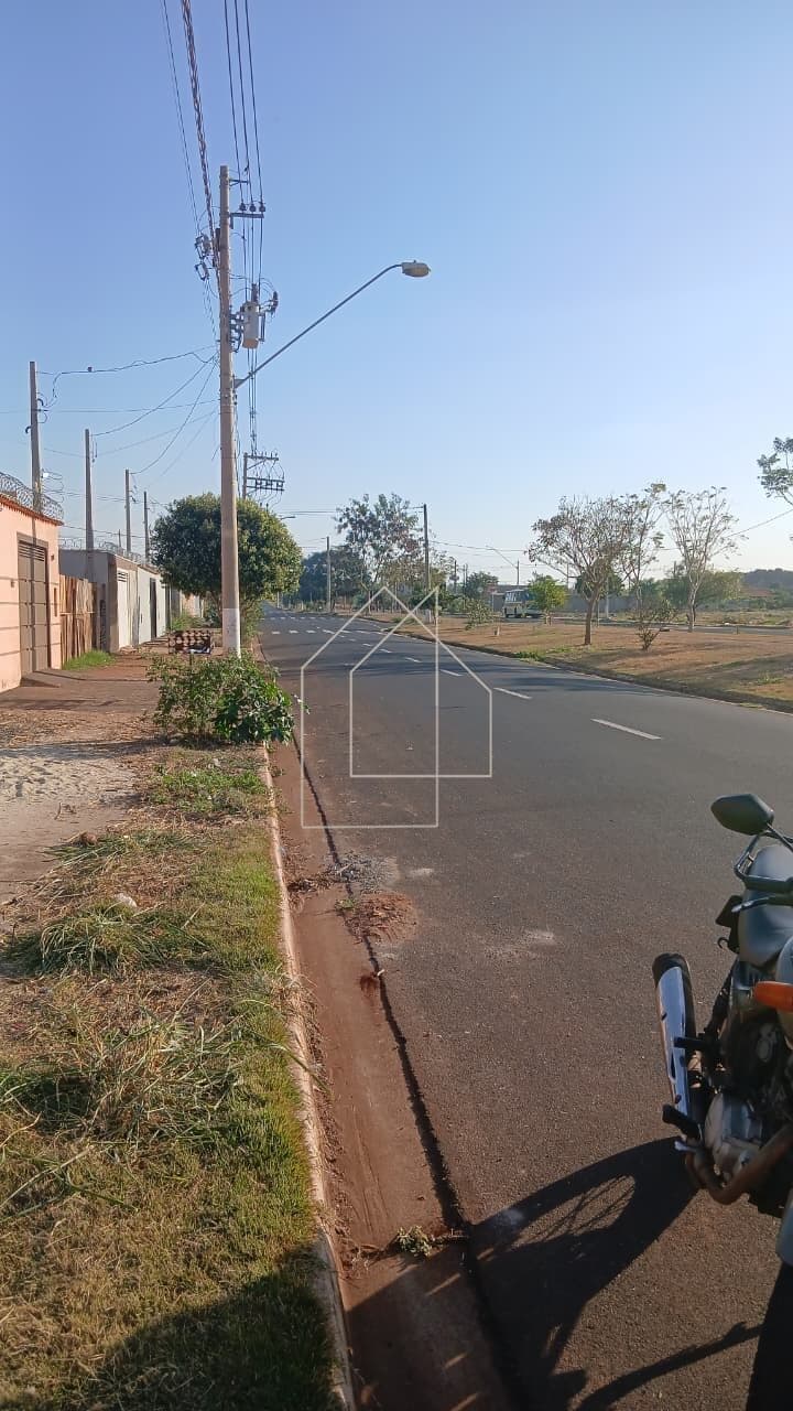 Lote/Terreno em Ribeirão Preto - Jardim Cristo Redentor