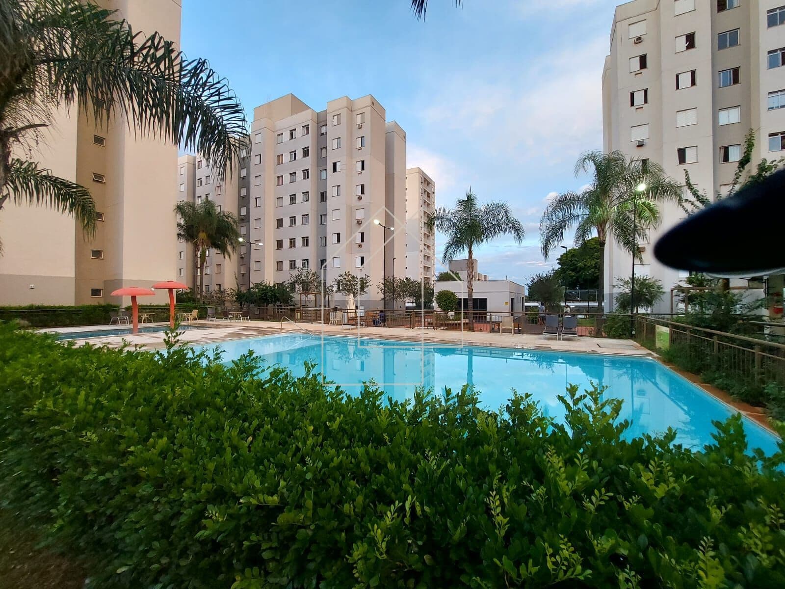 Apartamento Padrão em Praças do Ipiranga, Ribeirão Preto/SP