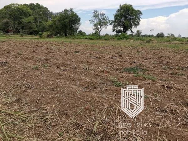 Fazenda/Sítios/Chácaras em Tangará da Serra - Tangará da Serra