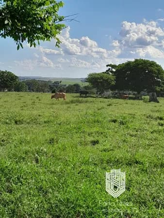 Fazenda/Sítios/Chácaras em Tangará da Serra - Centro