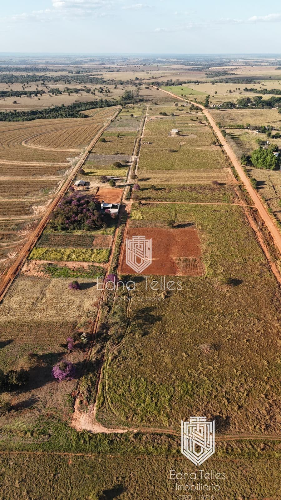 Fazenda/Sítios/Chácaras em Tangará da Serra - Centro