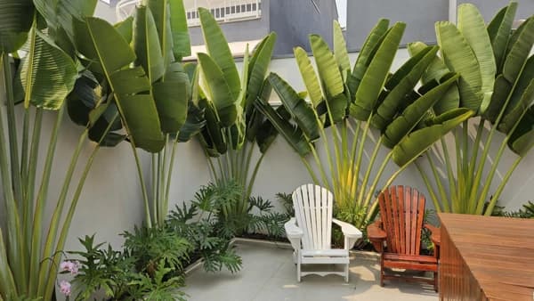 Casa à venda no bairro Residencial Real Parque Sumaré em Sumaré/SP