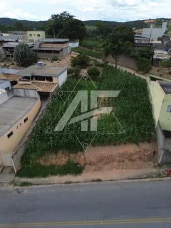 Lote no Casa Nova