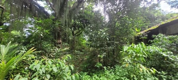 Terreno Residencial à venda, Guaratiba, Rio de Janeiro - TE0017.