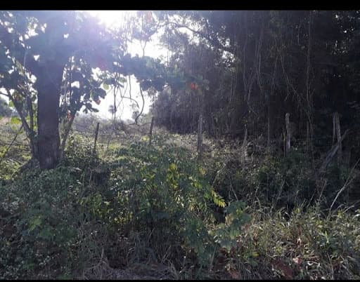 Fazenda à venda, ITAGUAÍ