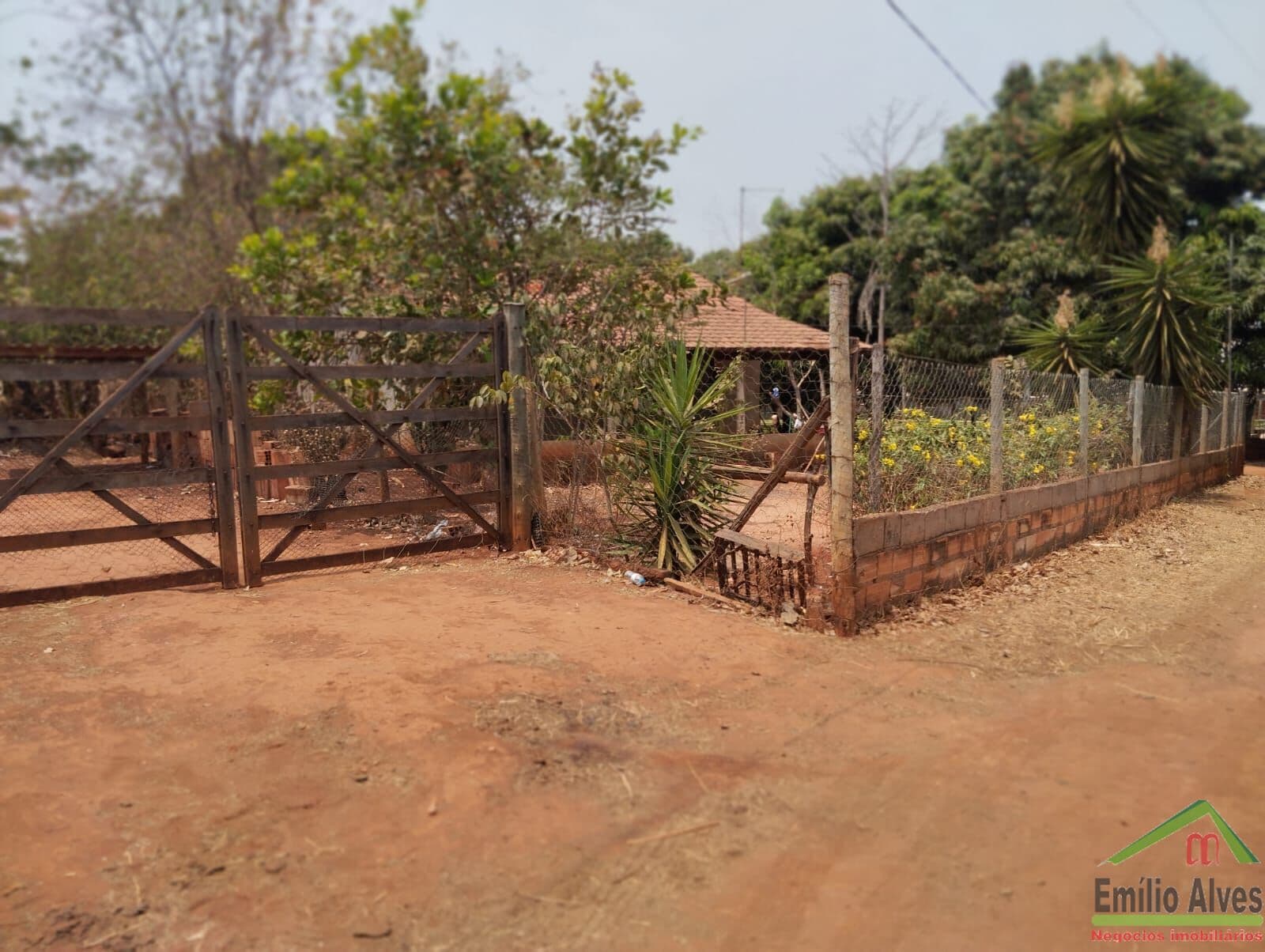 🏡 Chácara 5.000m² em Senador Canedo