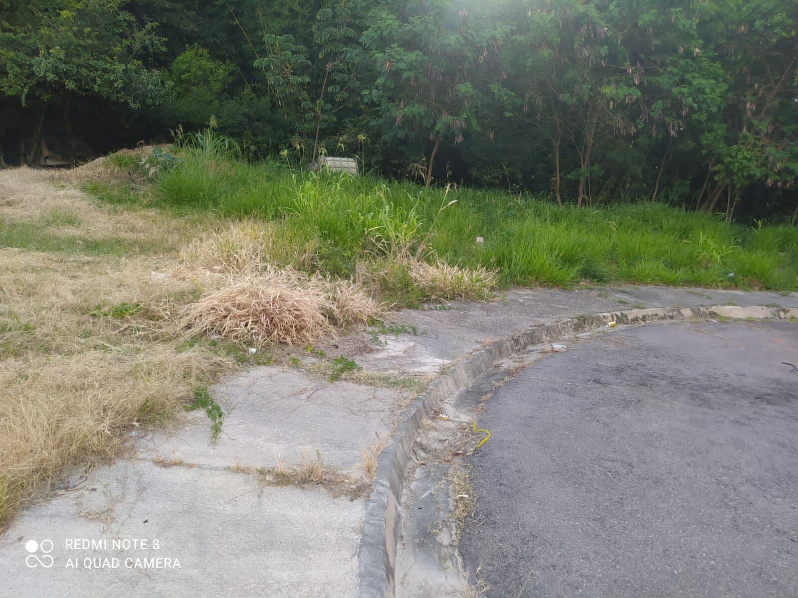 Terreno à venda Jardim Palermo