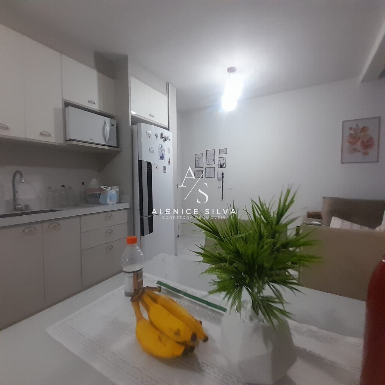 Apartamento 02 dormitórios no Sertão do Maruim, São José/SC