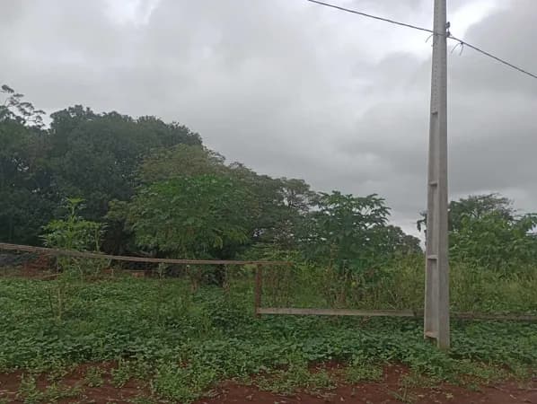 Chácara em Área Rural de Tangará da Serra, Tangará da Serra/MT