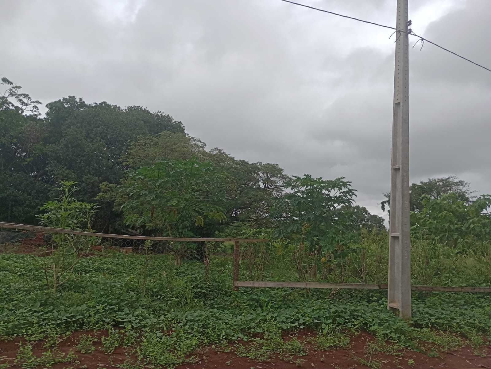 Chácara em Área Rural de Tangará da Serra, Tangará da Serra/MT