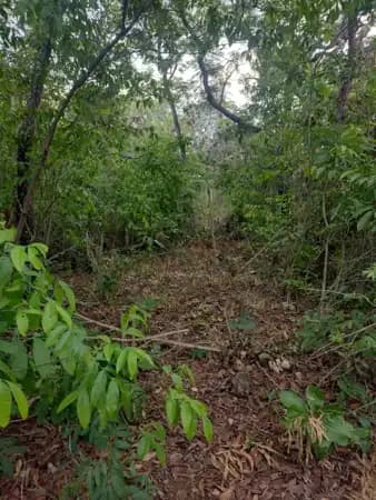 Terreno à venda em Campo Grande/MS