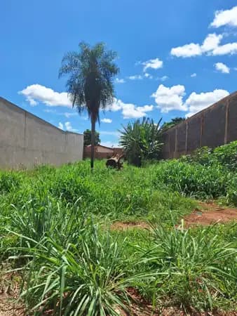 Terreno à venda em Campo Grande/MS