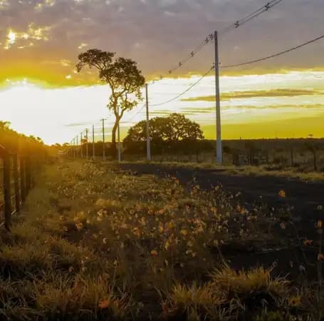 Terreno à venda em Campo Grande/MS
