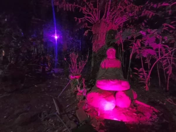 Casa com jardim