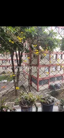 Apartamento com 3 quartos à venda, 70 m²- Vila Constança - São Paulo/SP