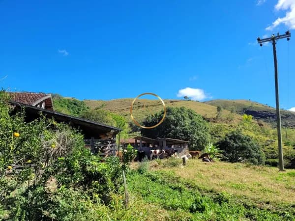 Lote/Terreno em Miguel Pereira - Centro
