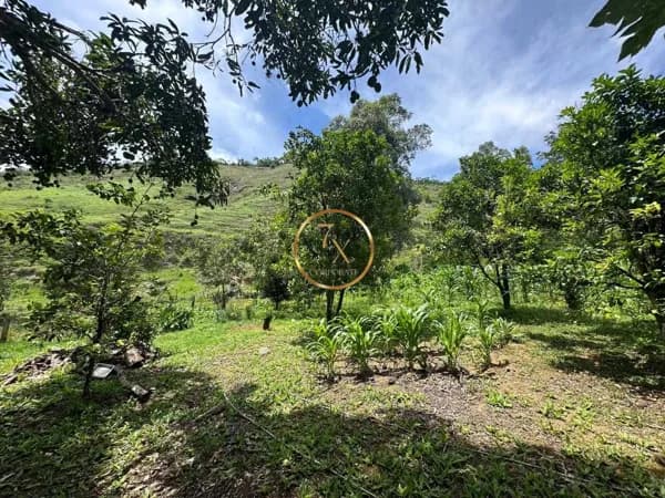 Fazenda/Sítios/Chácaras em Miguel Pereira - Centro