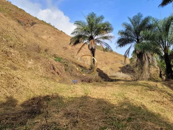 Lote/Terreno em Miguel Pereira - Centro