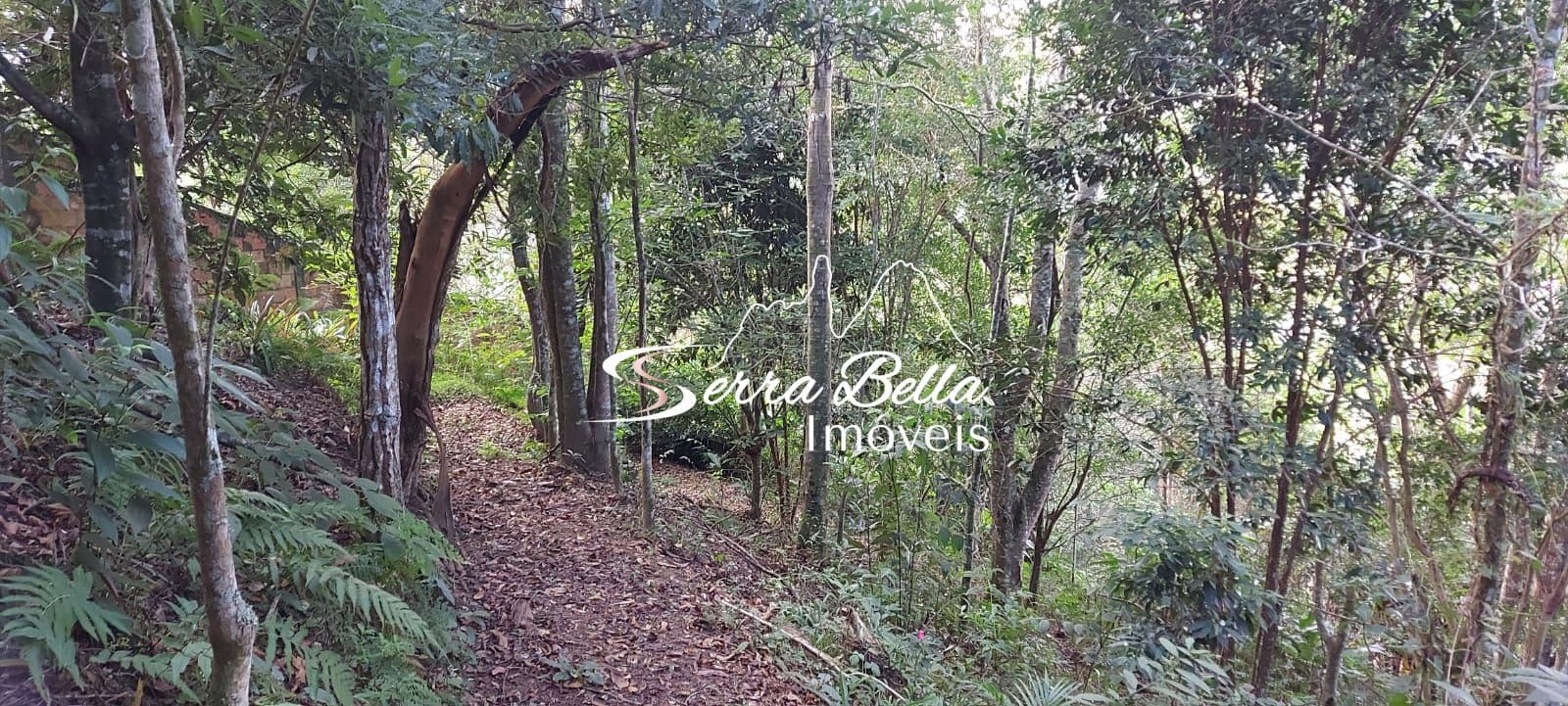 Terreno em Golfe, Teresópolis/RJ