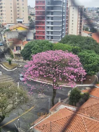 Apartamento em São Paulo - Vila Formosa