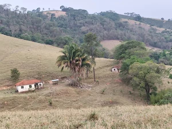 Sítio 40.000 m² - BAIRRO TRÊS CRUZES - MONTE SIÃO