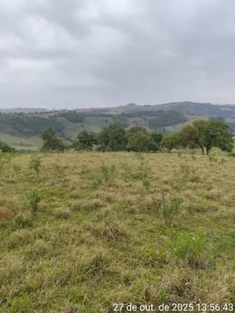 SÍTIO EXCELENTE 5,5 ALQUEIRES
