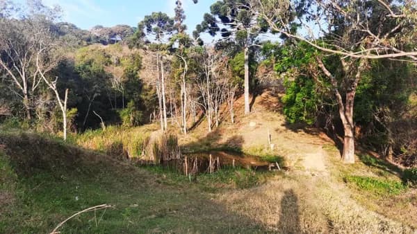 SÍTIO - 1,5 ALQUEIRE- NASCENTE-RIACHO-