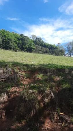 Terreno 8000m² a 1km da cidade