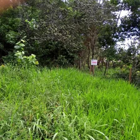 Terreno Lote para Venda em Arraial d´ajuda Porto Seguro-BA