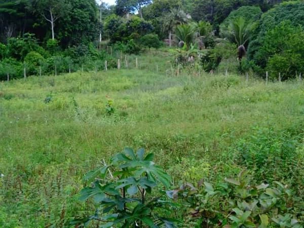 Terreno Lote para Venda em Arraial d´ajuda Porto Seguro-BA