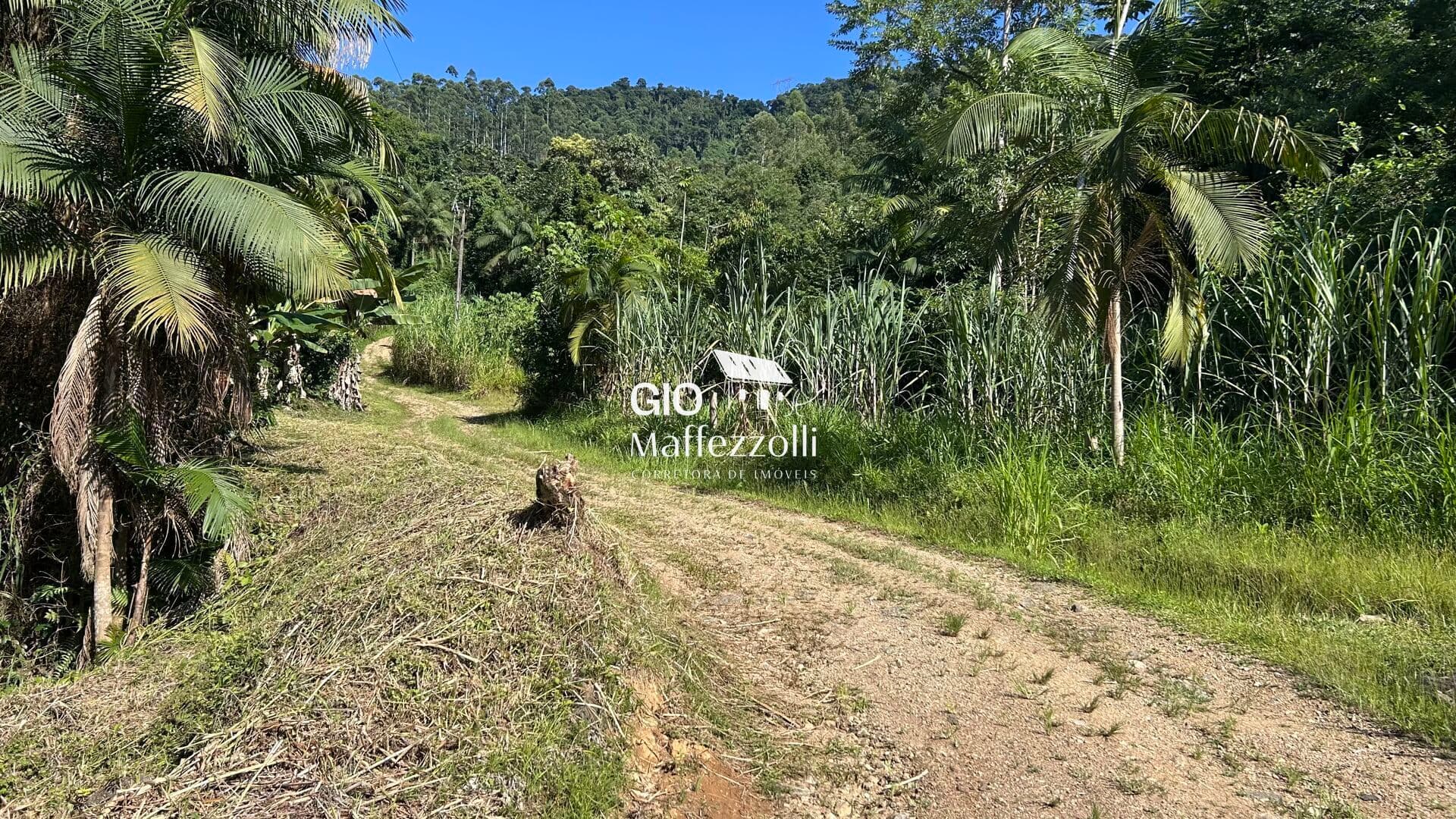 Sítio Localizado em Jaraguá do Sul, bairro Rio Cerro II