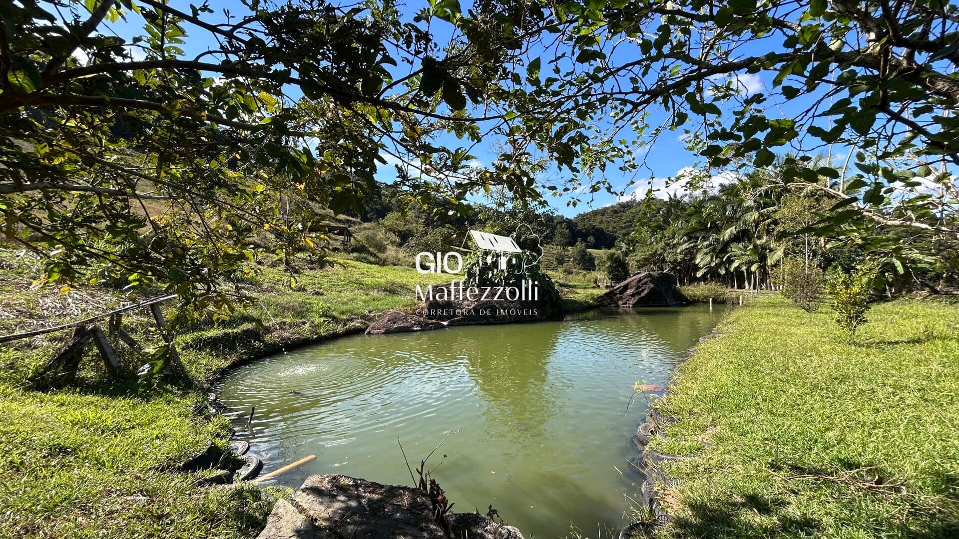 Sítio em Jaraguá do Sul, Tifa Húngaros.