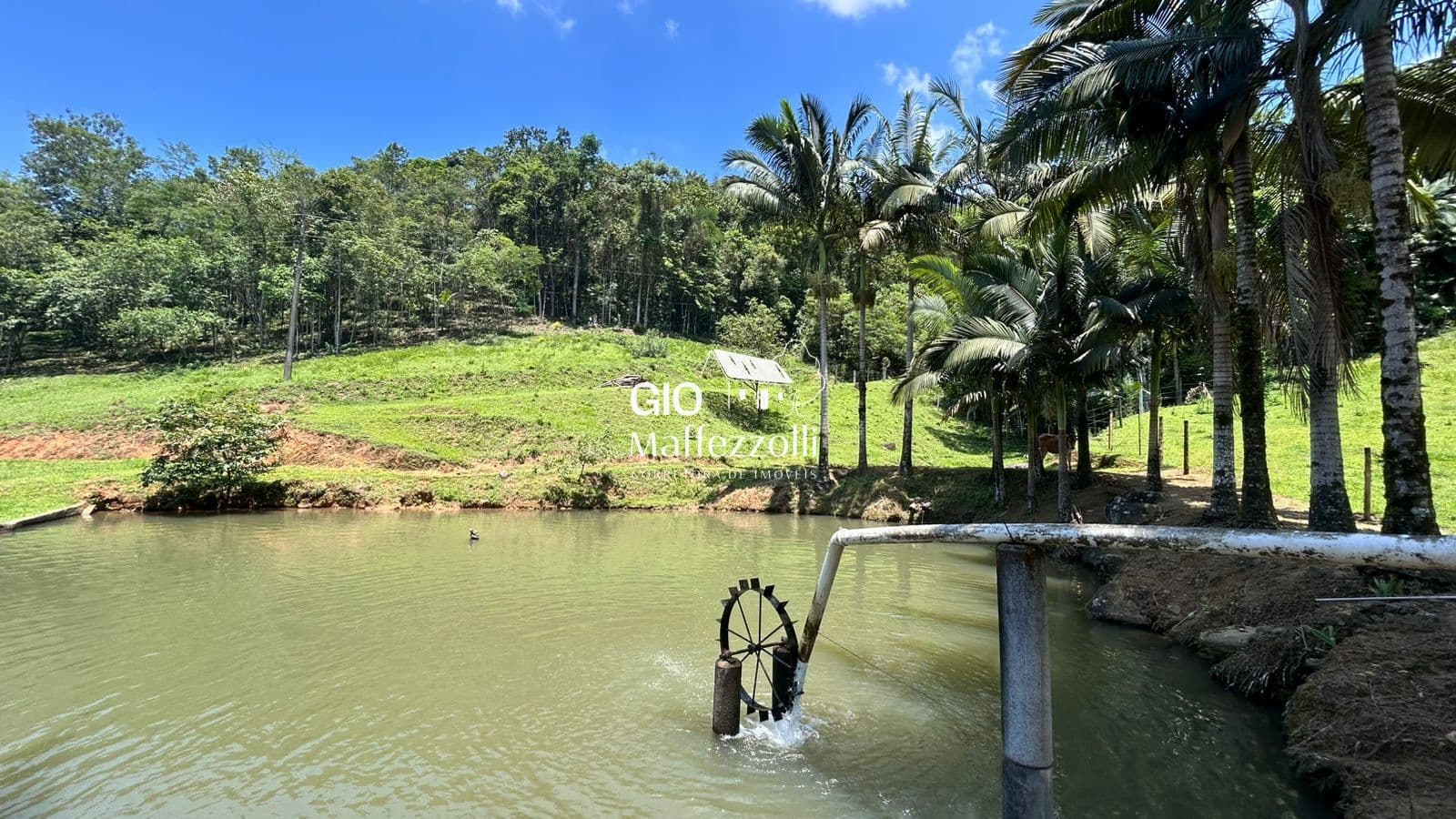 Sítio em Jaraguá do Sul, bairro Rio da Luz