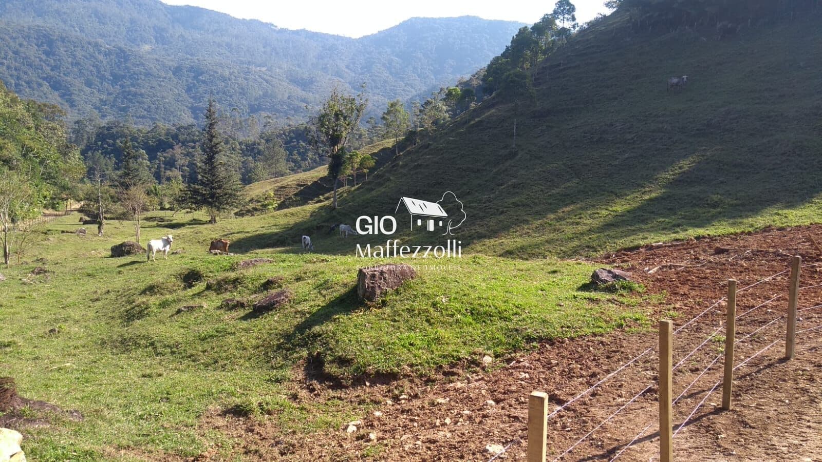 Sítio em Pomerode, bairro Testo Alto