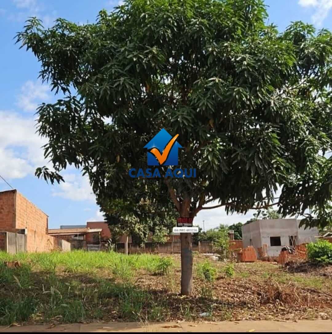 Terreno em Centro, Jaciara/MT
