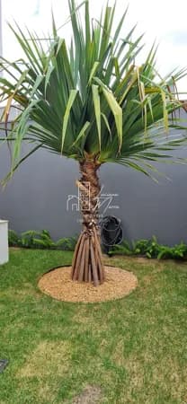 Casa em Patos de Minas - Jardim Vitória