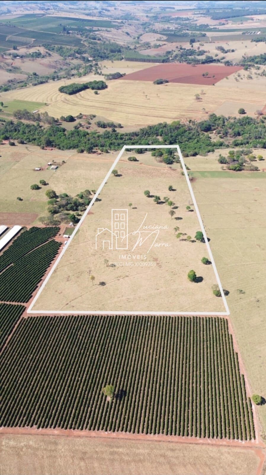 Fazenda/Sítios/Chácaras em Patos de Minas - Zona Rural