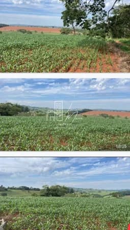 Fazenda/Sítios/Chácaras em Patos de Minas - Zona Rural