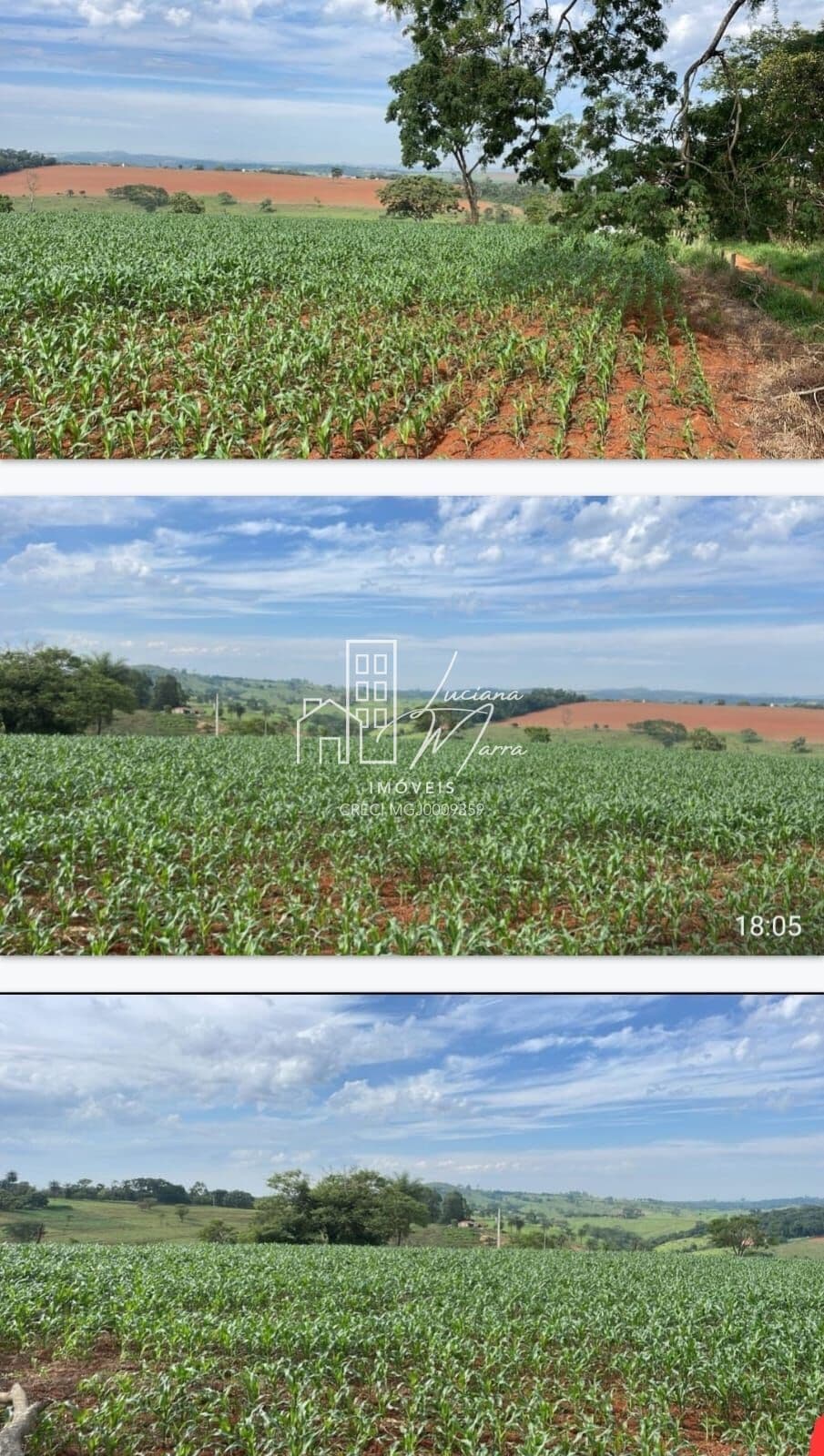 Fazenda/Sítios/Chácaras em Patos de Minas - Zona Rural