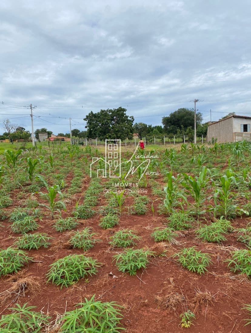 Fazenda/Sítios/Chácaras em Patos de Minas - Zona Rural