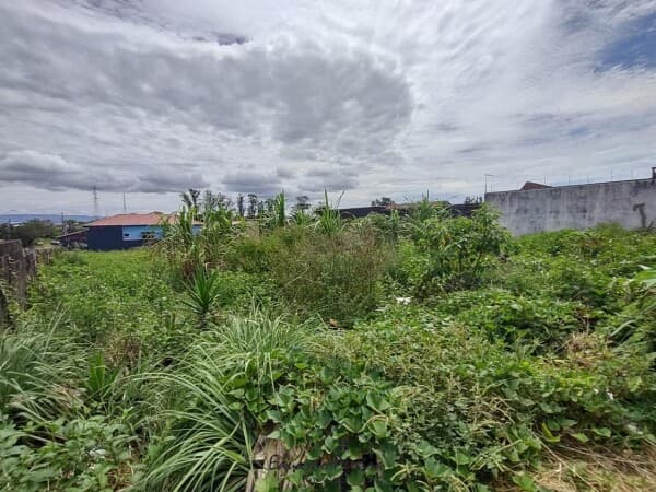 Terreno para Venda no bairro Belas Artes, localizado na cidade de Itanhaém / SP, ponto de referência Atrása do Atacadão.